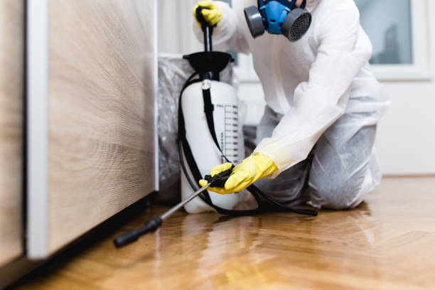 Best Exterminator Services  in East Bangor, PA