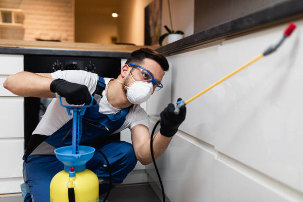 Best Emergency Pest Control  in East Bangor, PA