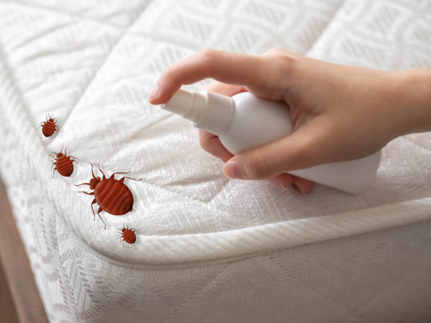 Best Best Pest Control Companies  in East Bangor, PA