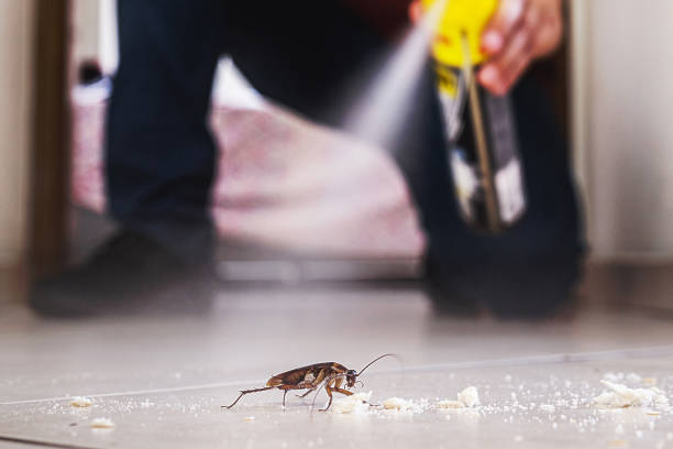 Best Pest Control Near Me  in East Bangor, PA