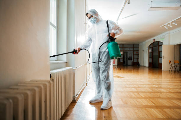 Best Pest Control Near Me  in East Bangor, PA